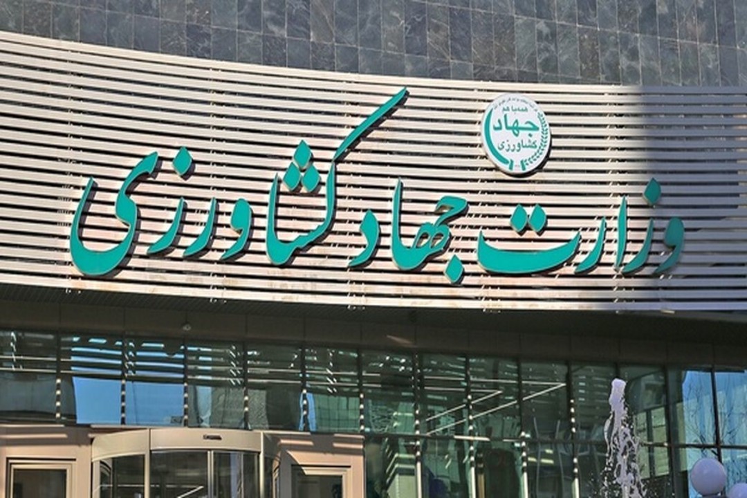 جزئیات بسته جدید ارزی برای کالاهای اساسی