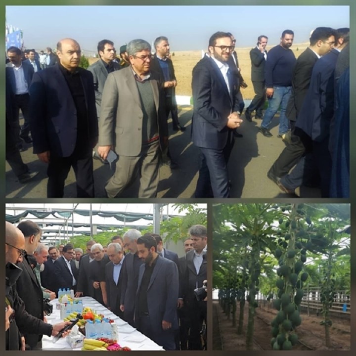 بازدید مدیرعامل بانک کشاورزی و وزیر اقتصاد از پروژه راهبردی «گوزل طبیعت ارس»