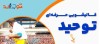 کارهایی که نباید هنگام تمیز کردن فرش انجام دهید