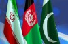 صادرات شرکت‌های تابعه شستا به افغانستان و پاکستان توسعه پیدا می‌کند